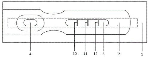 PCT/SAA combined test paper strip for rapid detection and preparation method thereof