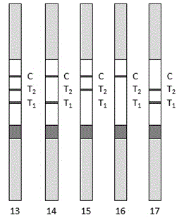 PCT/SAA combined test paper strip for rapid detection and preparation method thereof