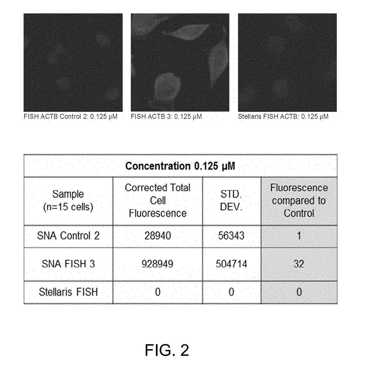 Spherical nucleic acids (SNA) flare based fluorescence in situ hybridization