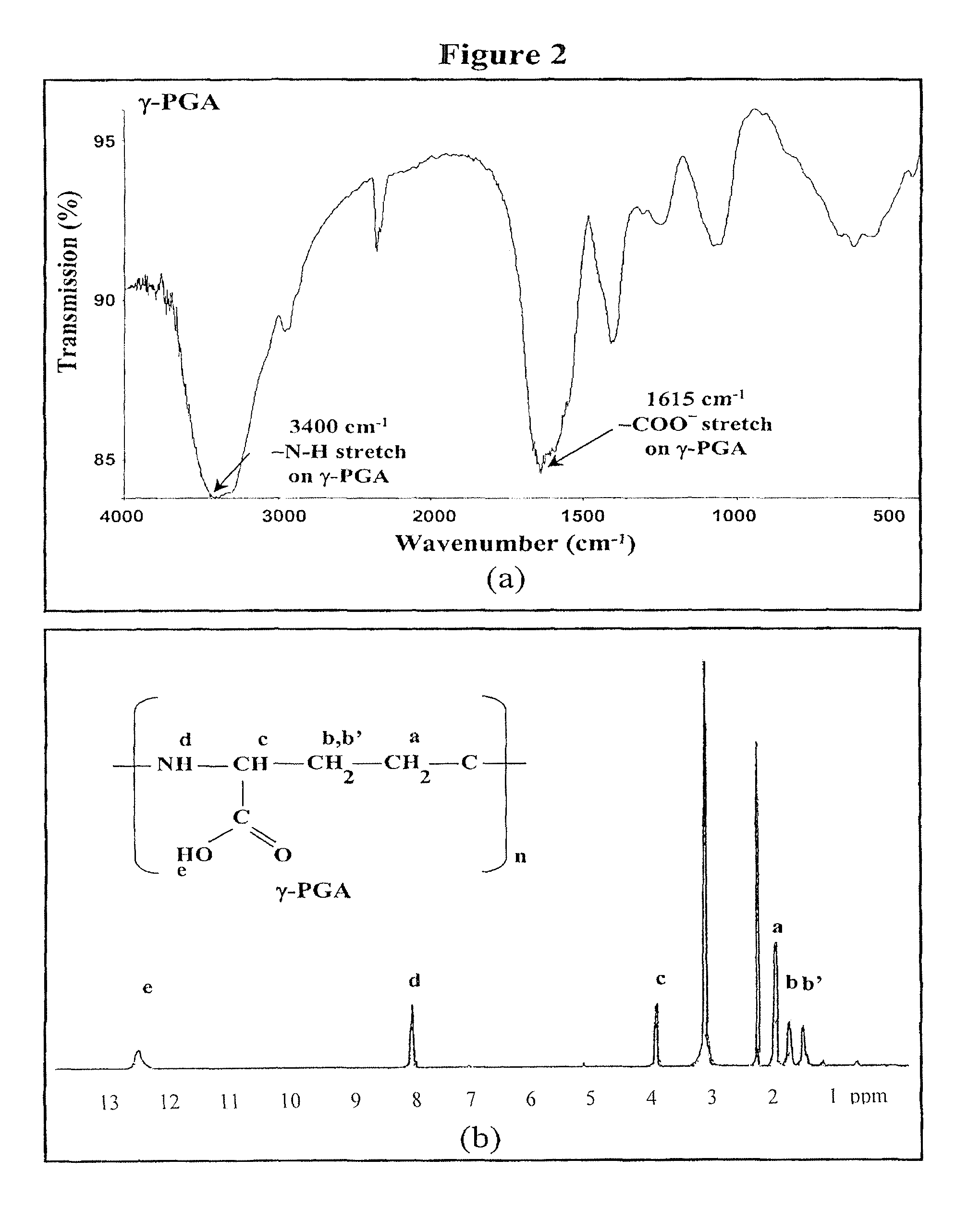 Pharmaceutical composition of nanoparticles