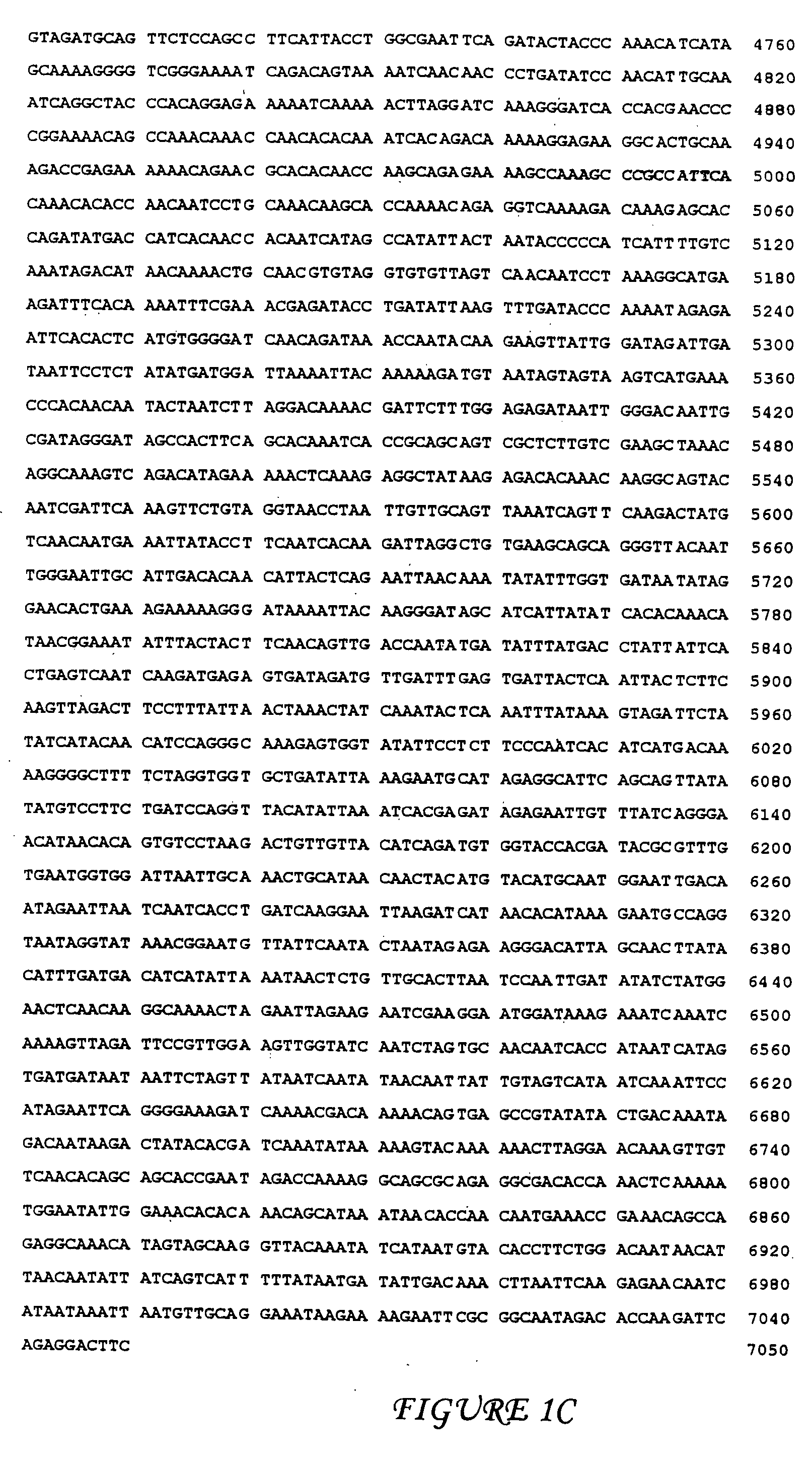 Attenuated human-bovine chimeric parainfluenza virus (PIV) vaccines