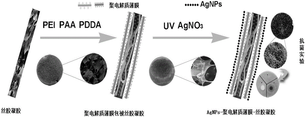 Method of modifying polyelectrolyte thin film coated sericin gel with nano-silver and product and application thereof