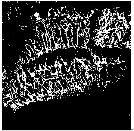 Porous layered graphene frame material as well as preparation method and application thereof