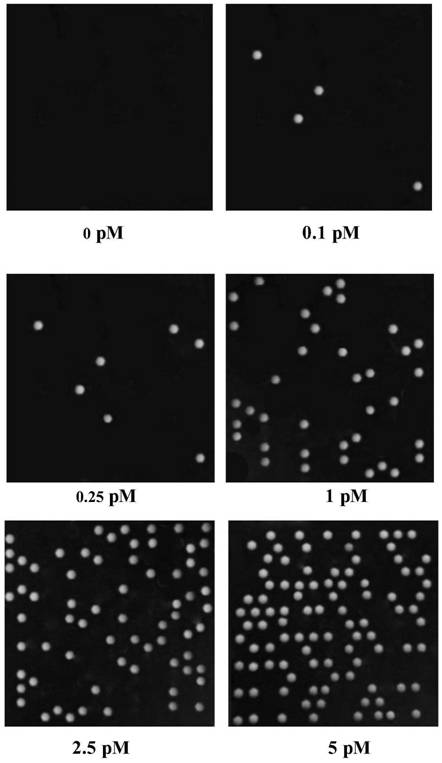 A detection method for single molecular protein