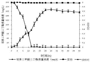 Screening and identification and application of bacillus for efficiently degrading phthalate