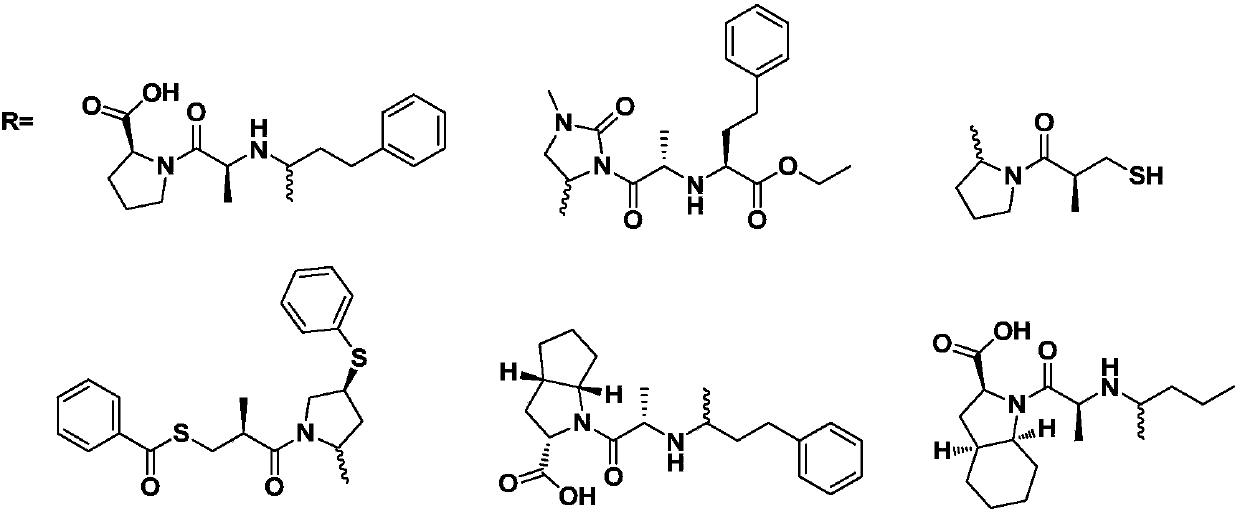 Preparation and medical use of a kind of Puli-type berberine conjugate