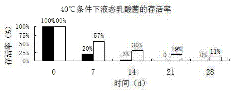 Lactobacillus preservative capable of increasing survival rate of liquid lactobacilli at room temperature and application of lactobacillus preservative