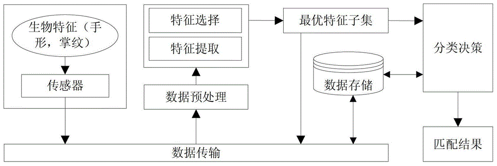 Palm bis identification method based on immune cloning