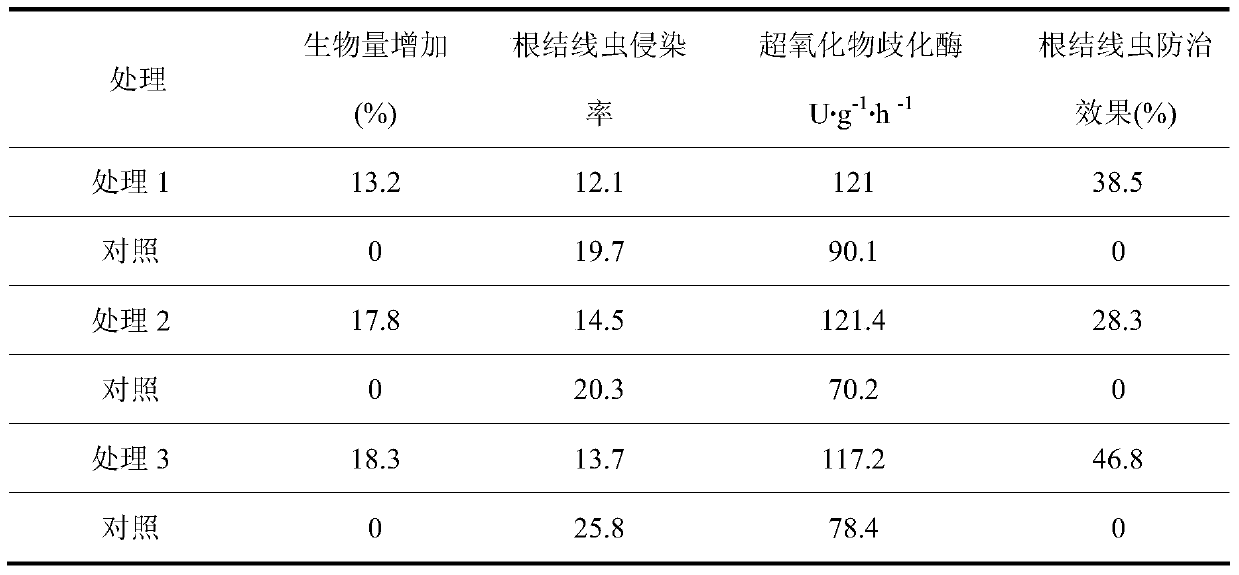 A cultivation method for improving root-knot nematode resistance of northern facility tomato