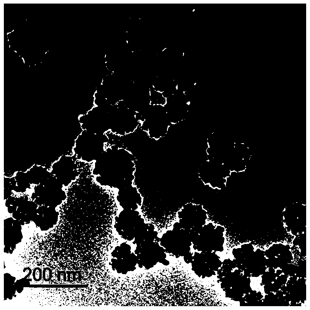 Gold magnetic composite microspheres with monodispersity and superparamagnetism and preparation method thereof