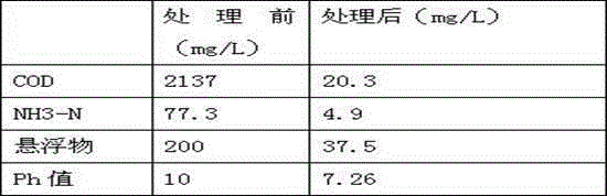 Biological agent for treating ash sluicing water of cable channel