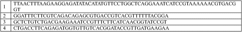 Artificially synthesized gene of encoding thymidine phosphorylase protein, and application of gene