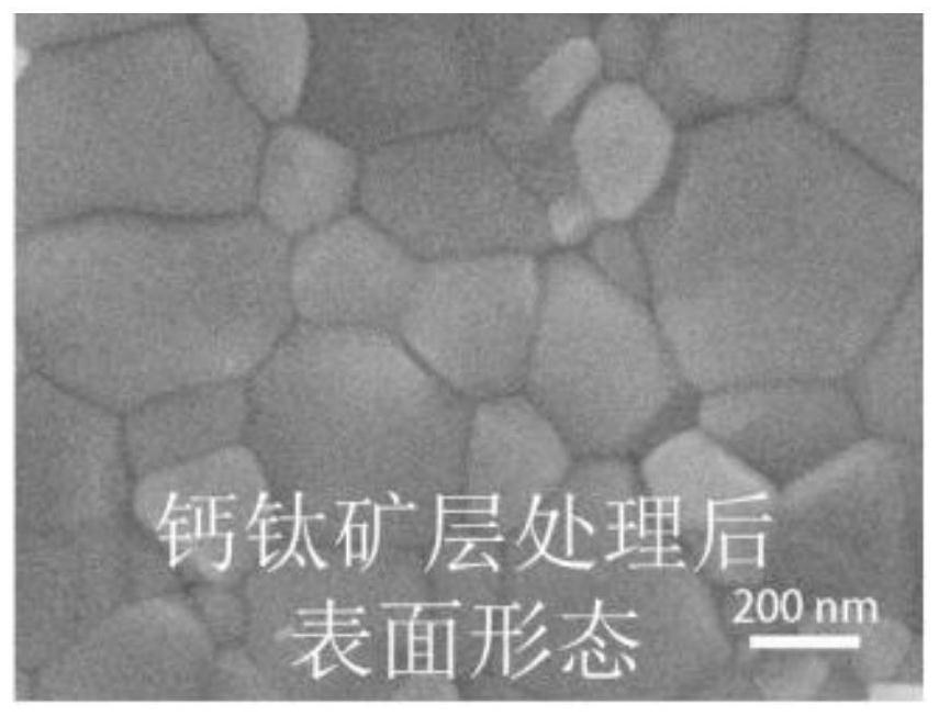 Organic-inorganic hybrid perovskite surface interface treatment method, material and application