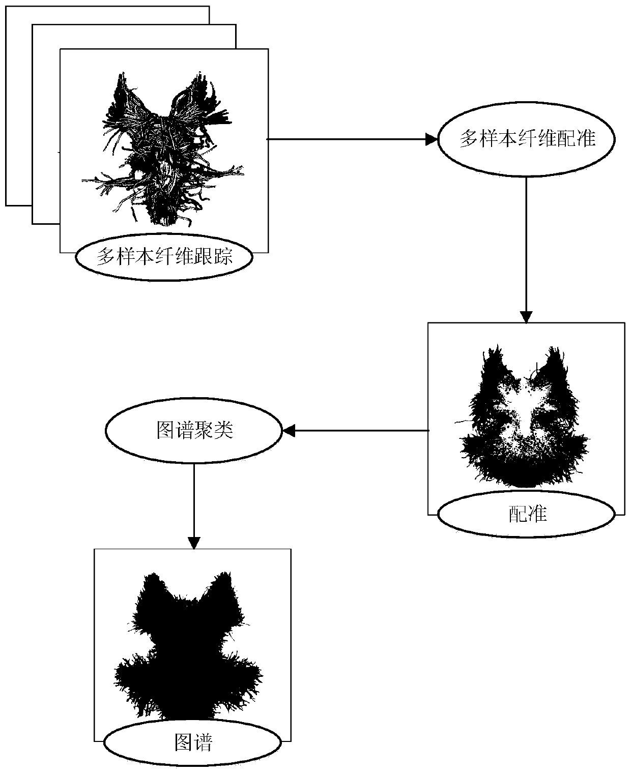 Cranial nerve automatic segmentation method based on large sample data driving