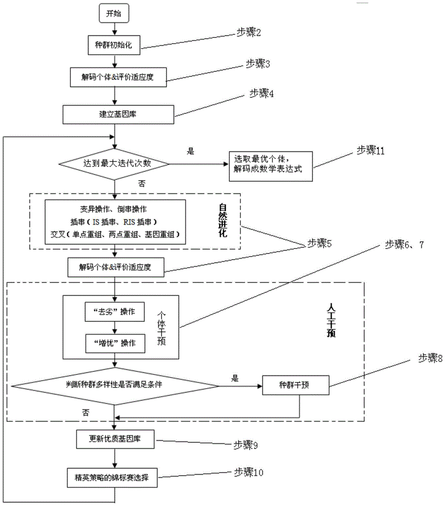 Method and system for predicting the number of wheat aphids based on human evolutionary gene expression programming