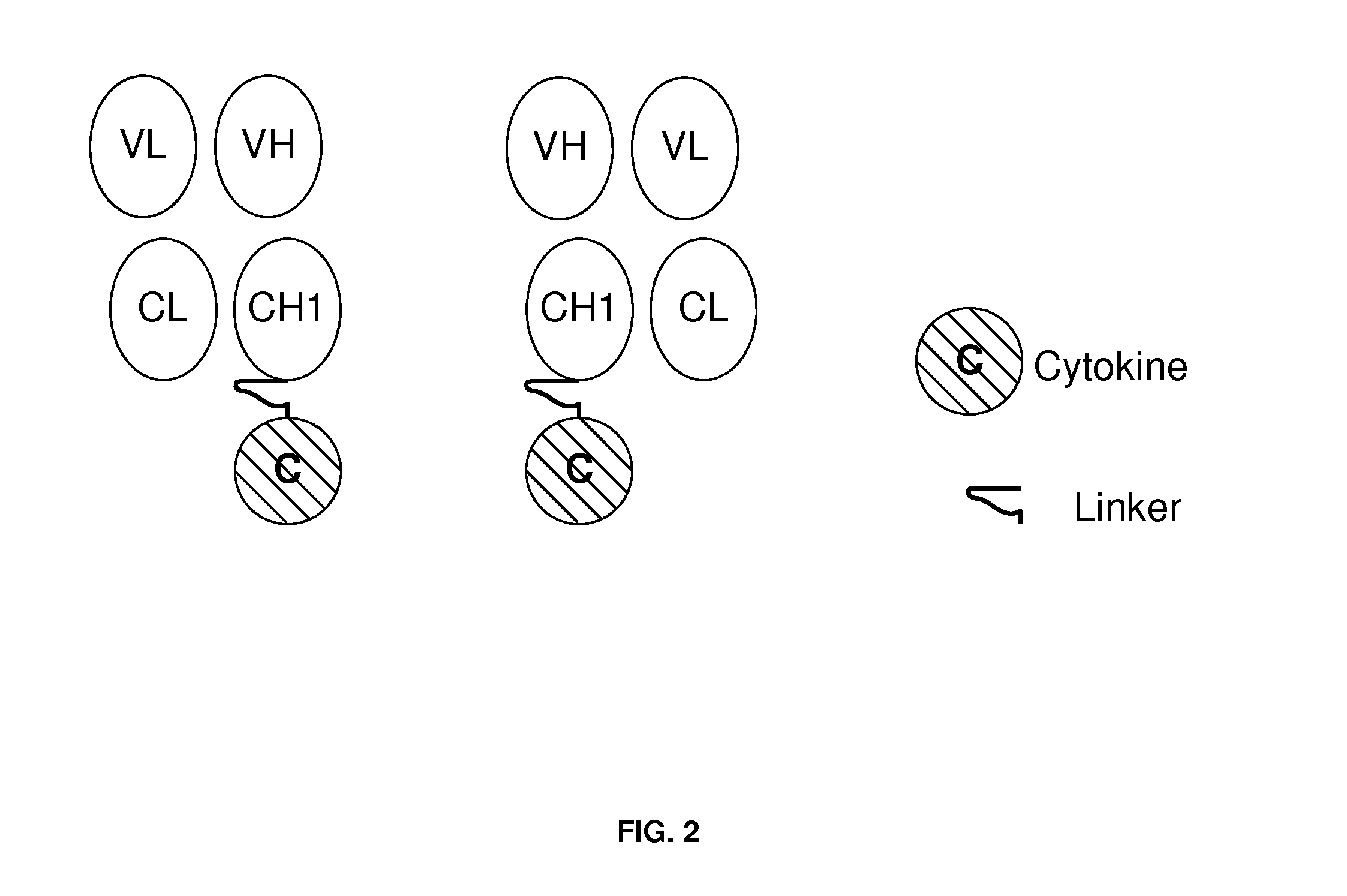 Engineered antibody-interferon fusion molecules for treatment of autoimmune diseases