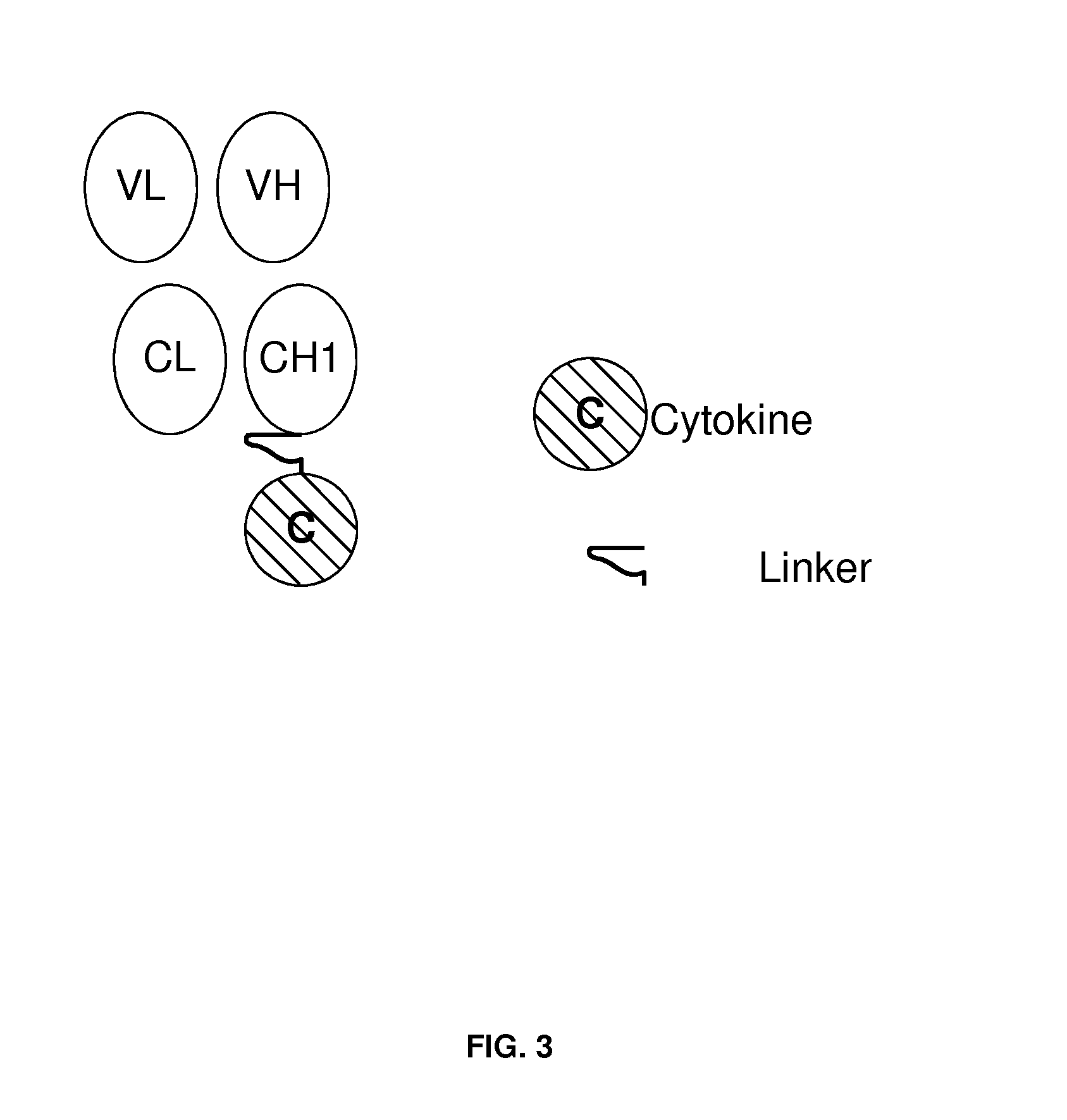 Engineered antibody-interferon fusion molecules for treatment of autoimmune diseases