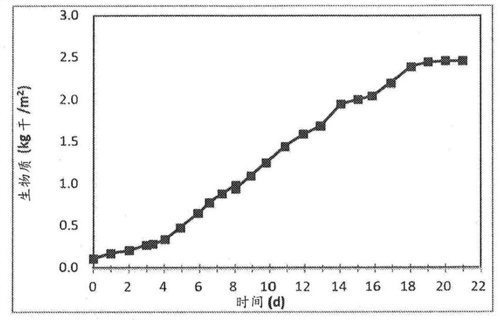 Food material composition and membrane bioreactor design comprising filamentous fungal particles