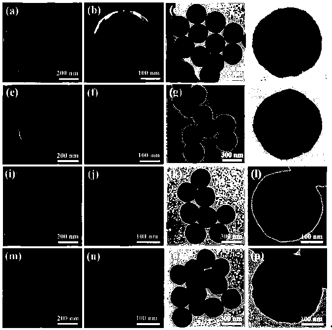 Preparation method of yolk-shell structure molybdenum disulfide@ carbon electrode material