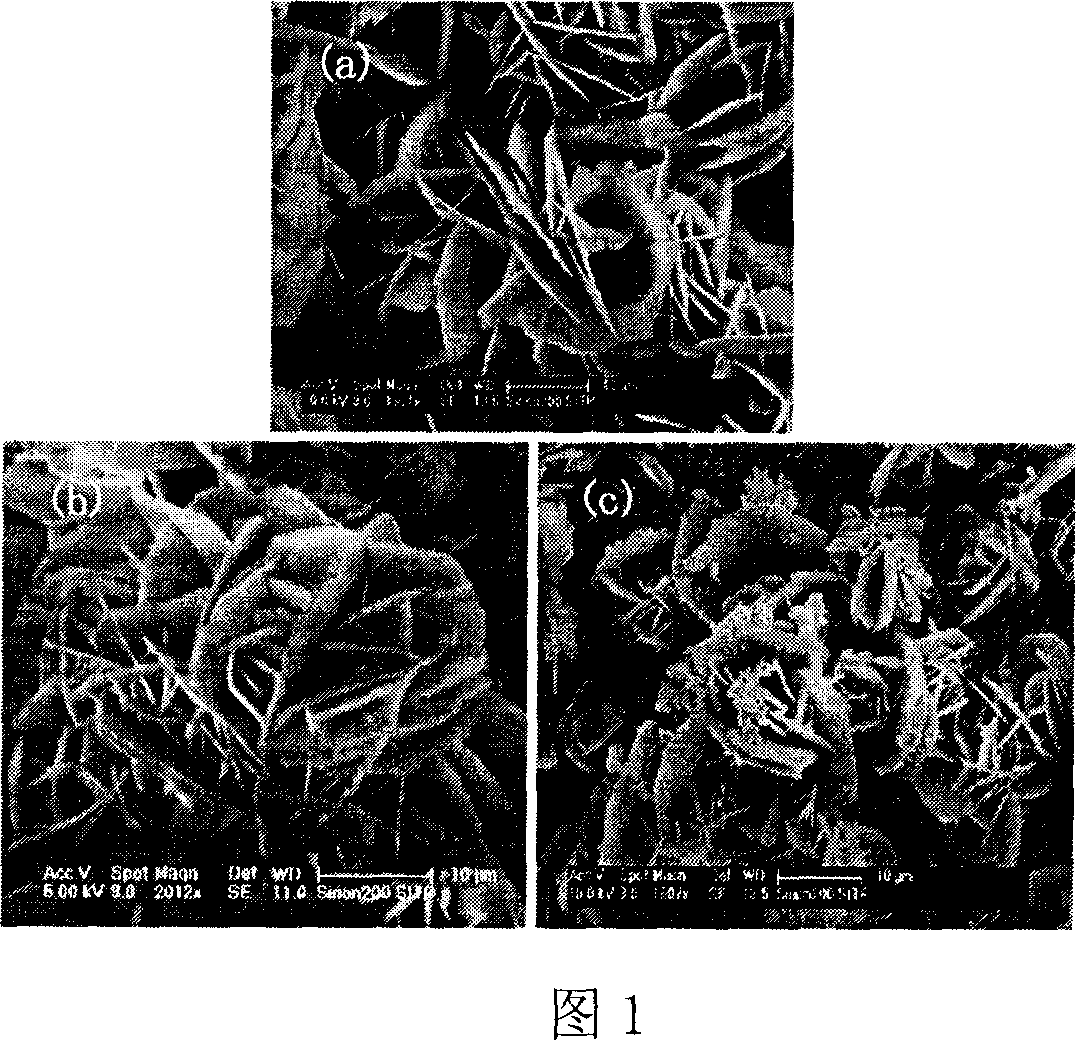 Method for hydrothermally synthesizing series flower shape zinc oxide micron/nano structure