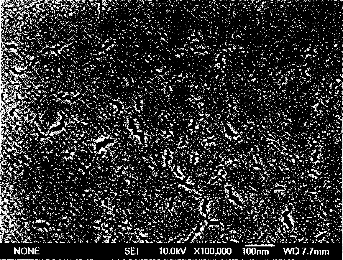 Antibacterial active carbon fiber coated by chitosan porous membrane and process for preparing same