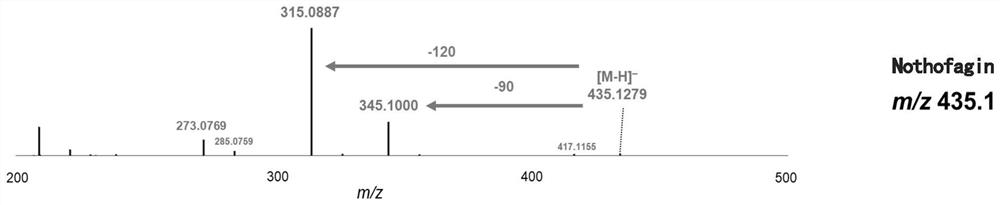 Novel C-glycoside glycosyl transferase and application thereof