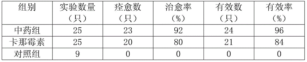 Traditional Chinese medicine composition for treating swine mycoplasmal pneumonia and preparation method thereof