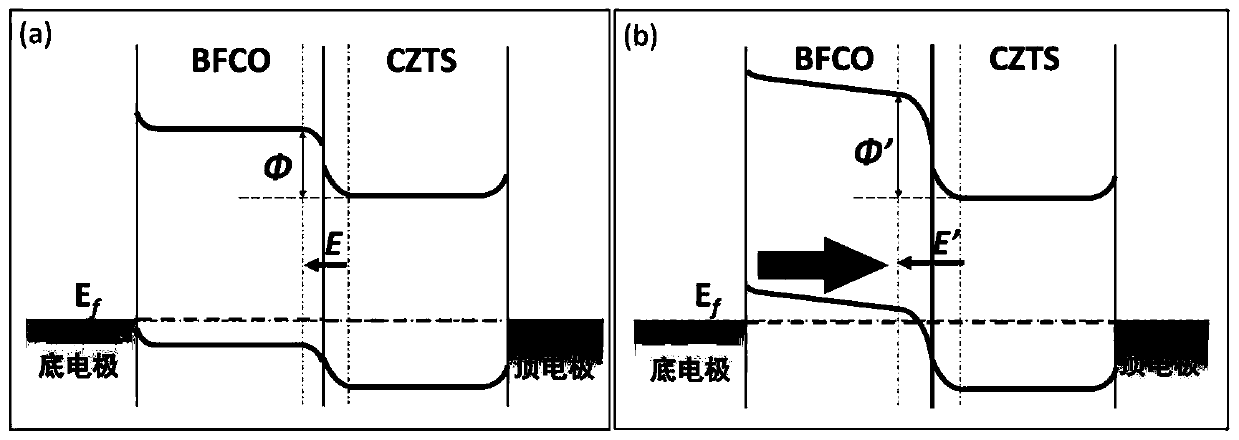 Zinc stannite-oxide perovskite heterojunction based on copper-zinc-tin-sulfur/bismuth-iron-chromium-oxygen