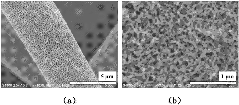 Thin film composed of polylactic acid fibers in nano-continuous porous structure and preparation method thereof