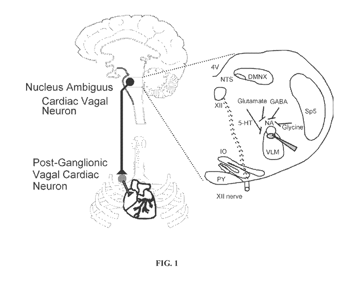 Oxytocin improves treatment of obstructive sleep apnea