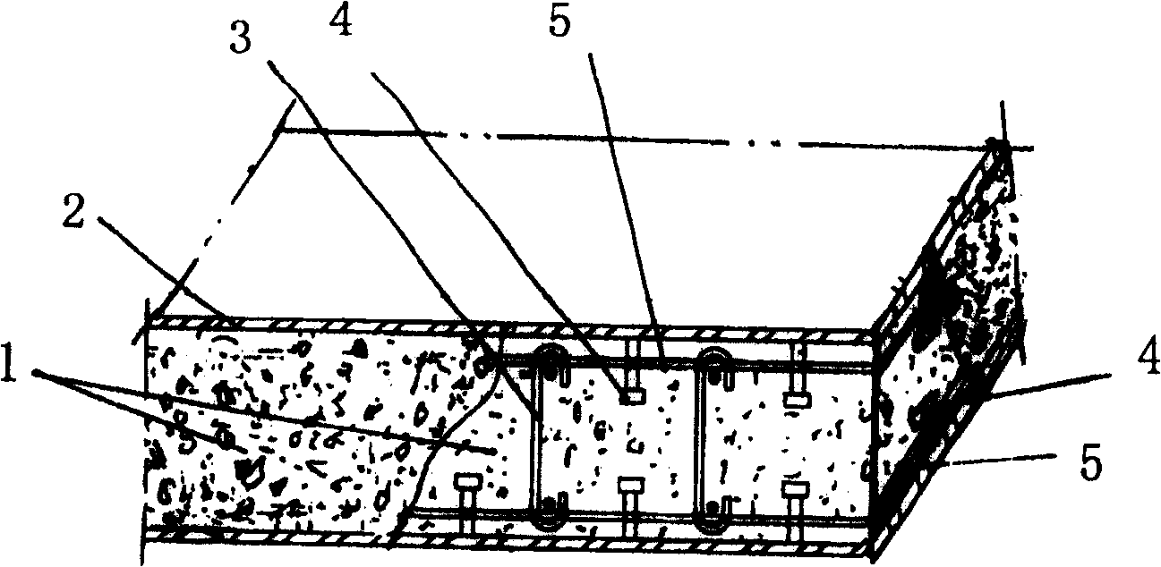 Steel plate-concrete composite lining