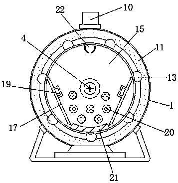 Cleaning and disinfection device for down production