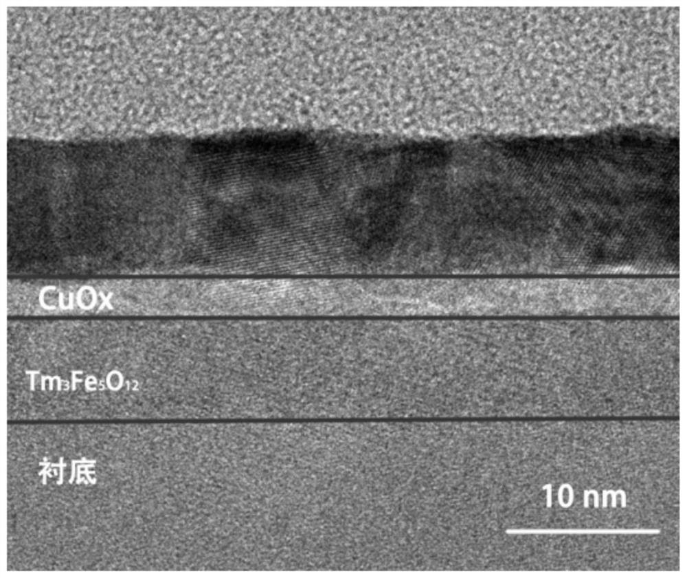 Spinning electron heterojunction and preparation method thereof