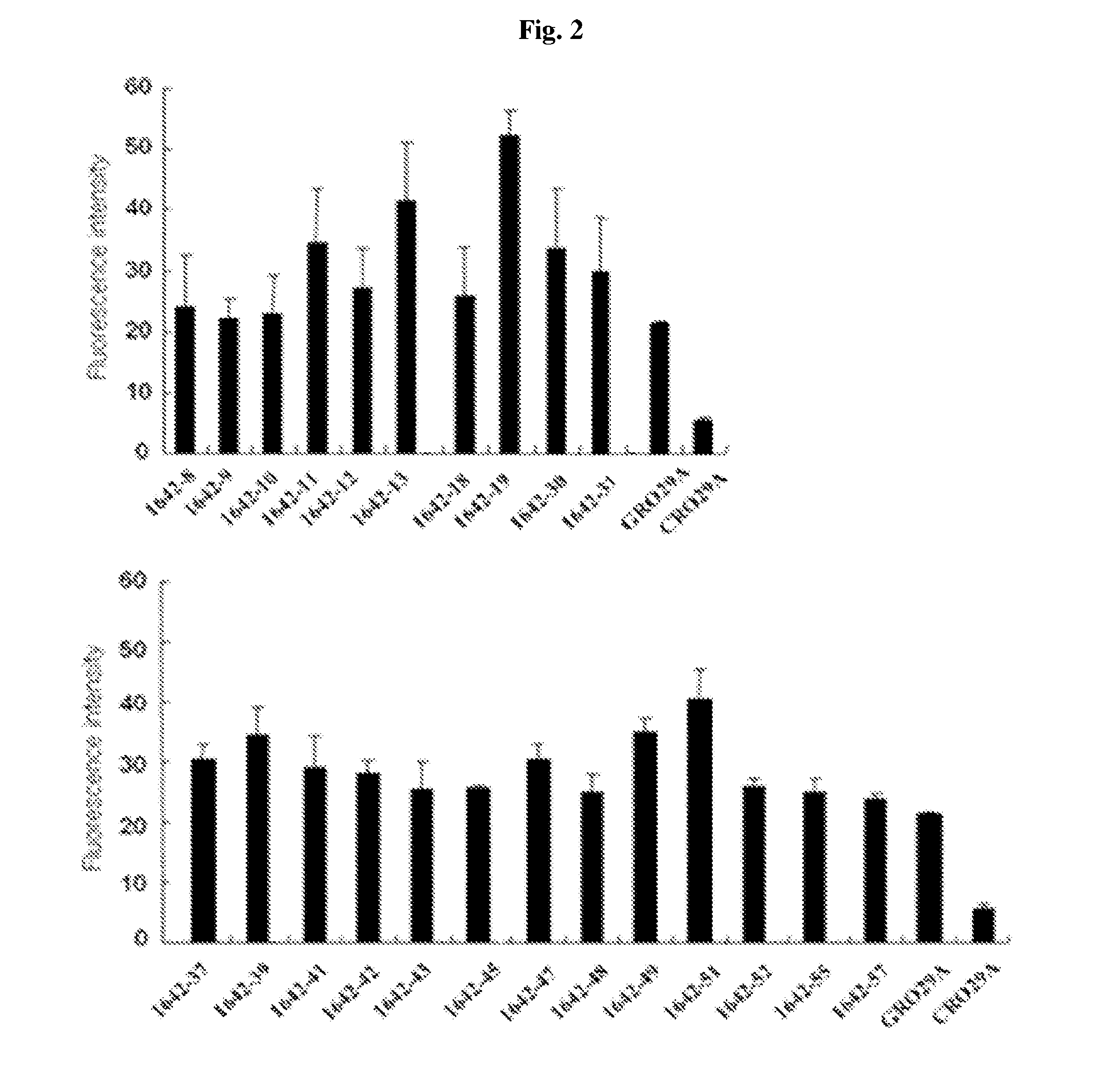 Nucleolin specific aptamer and use thereof