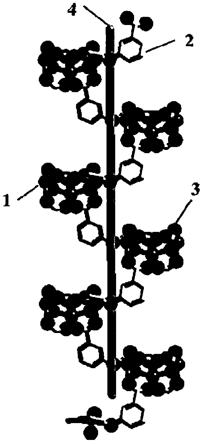 A kind of chiral coordination polymer containing trinuclear cadmium cluster and its preparation method and application