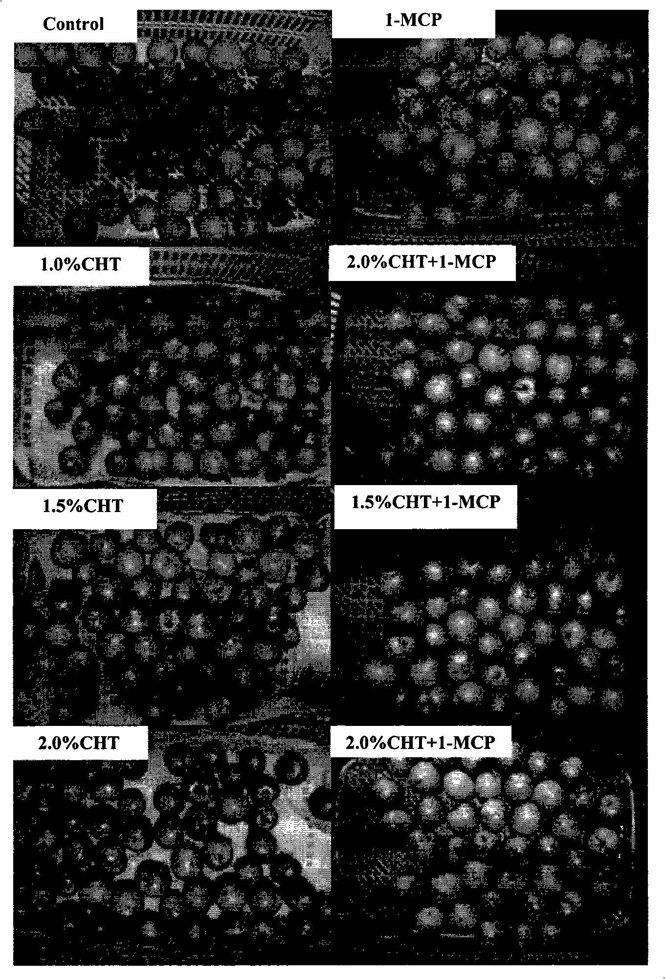 Fresh-keeping method of plum fruit