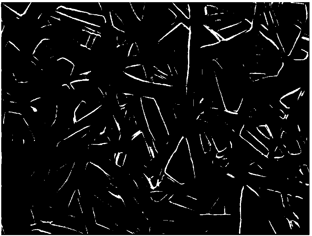 Organic/perovskite bulk heterojunction nanowire photodetector and preparation method thereof