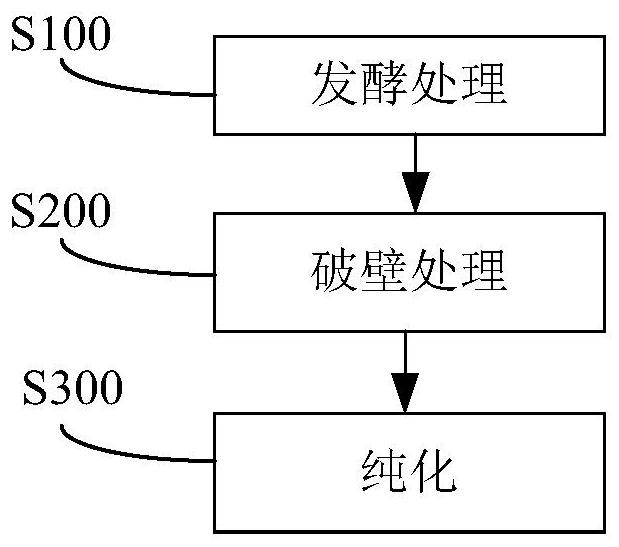 Biosynthetic gene cluster of maduramicin compound and application of biosynthetic gene cluster