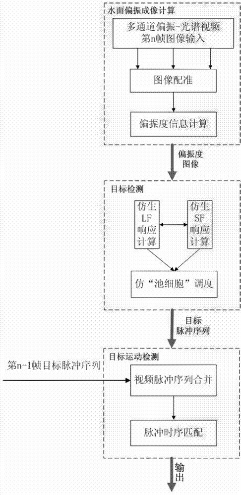 Water surface target motion detecting method simulating compound eye visual mechanism and polarization imaging