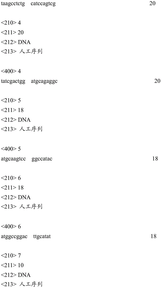 A method for early and accurate prediction of rice bacterial blight by using mirna162b gene