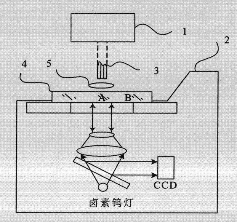 Micro-area optical damage test method and device