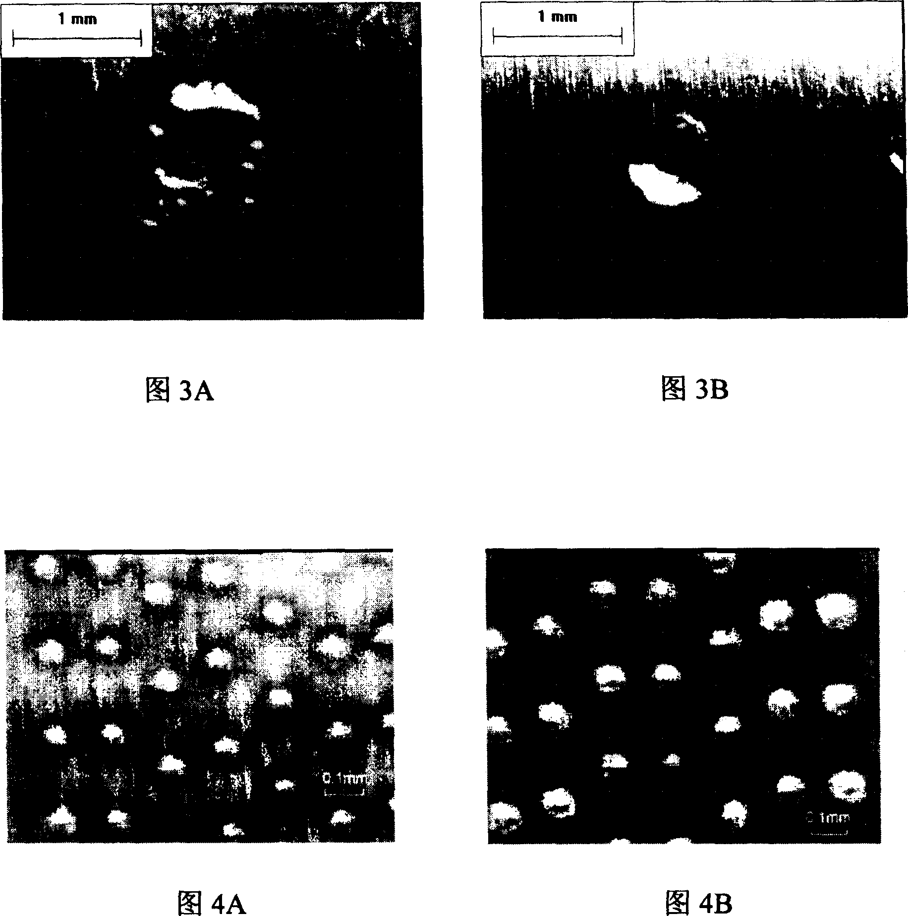 High frequency pulse laser induced electrode directional discharging apparatus for roughing roller surface