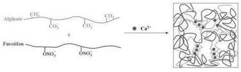 Modified hydrogel, modified hydrogel microsphere and preparation method and application thereof