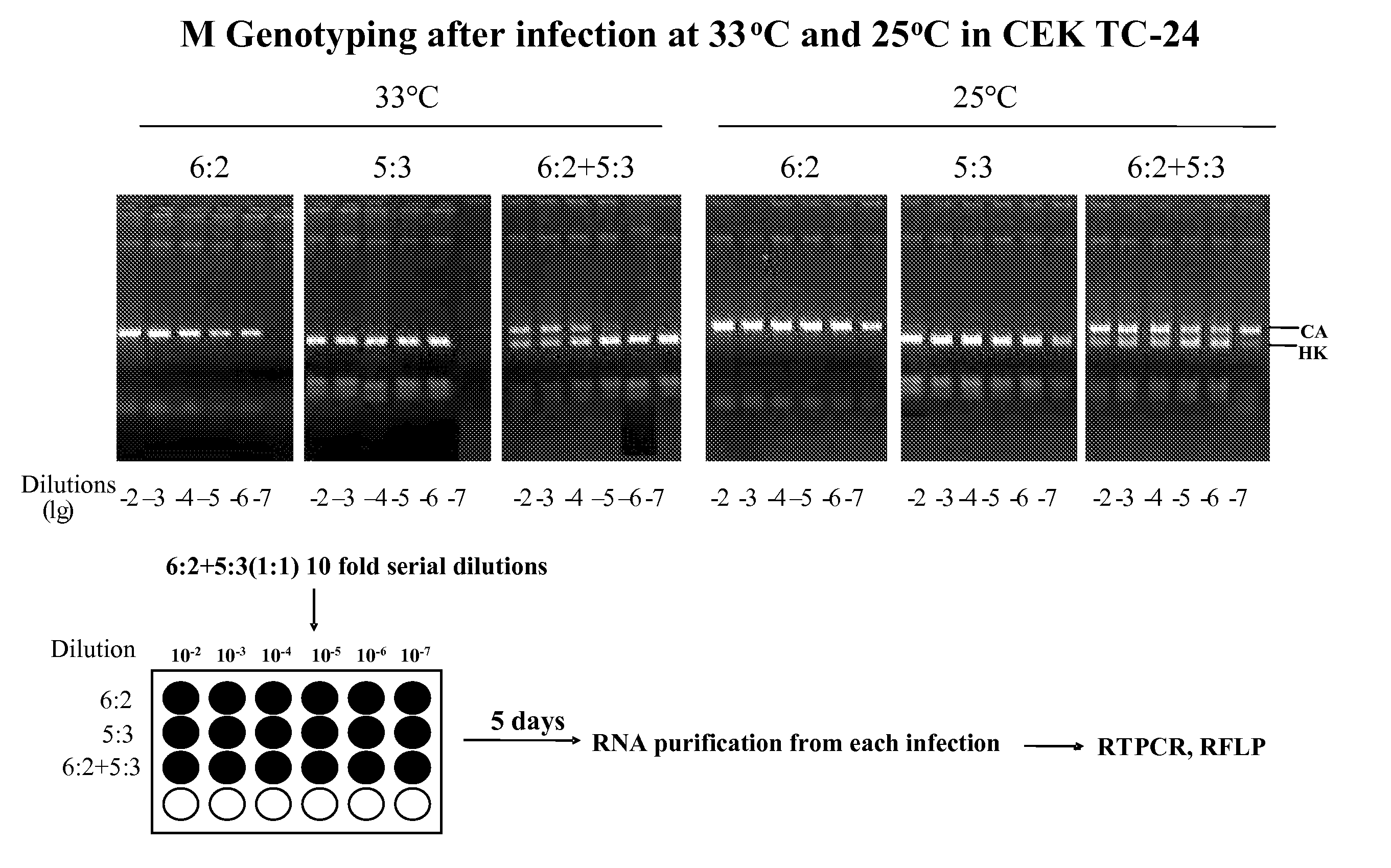 Methods of Producing Influenza Vaccine Compositions