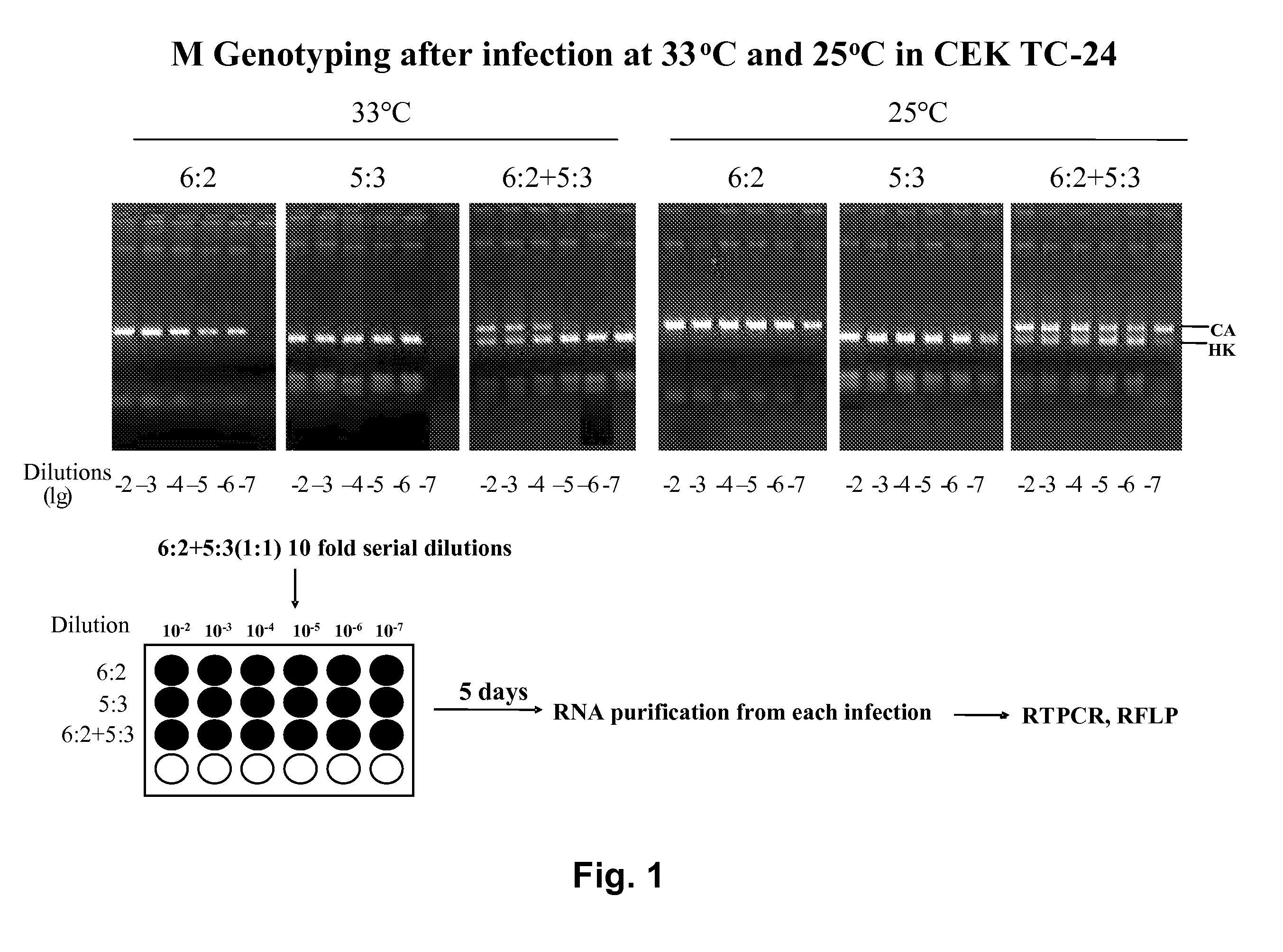 Methods of Producing Influenza Vaccine Compositions