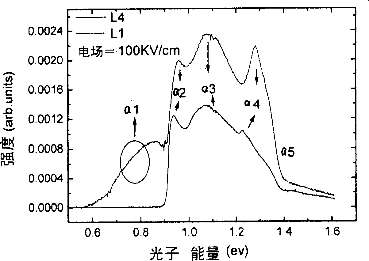 Method for quality testing and analysis of tube core of GaAs-based semiconductor quantum dot laser