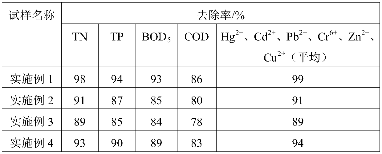 Water treatment agent and preparation method thereof