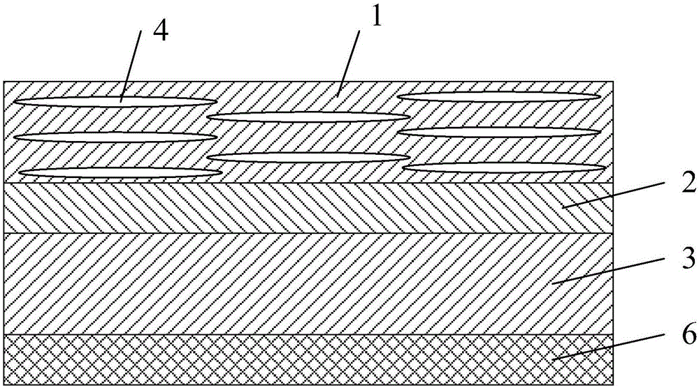 Polarizer and liquid crystal display device