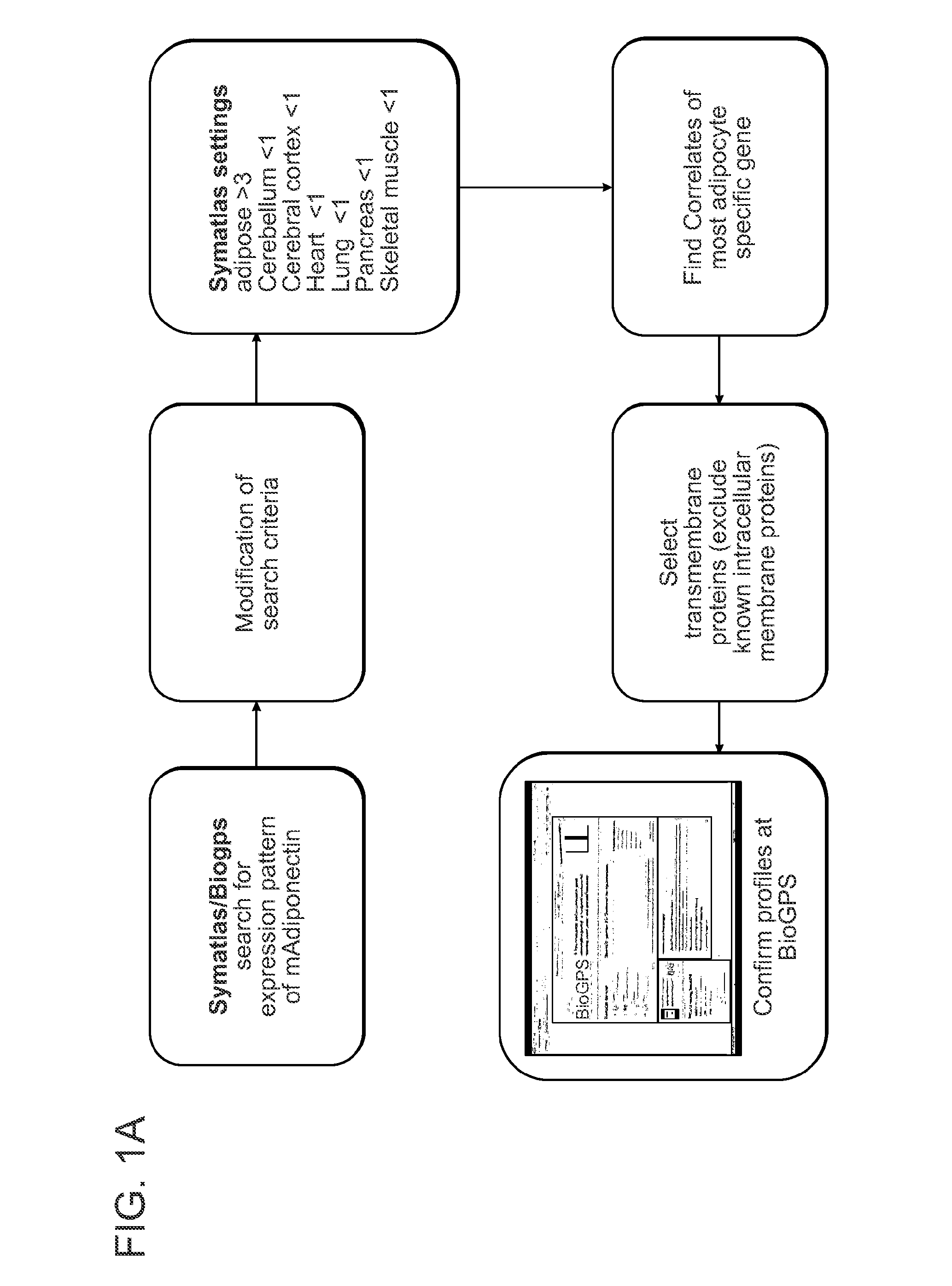 Novel surface markers for adipose tissue