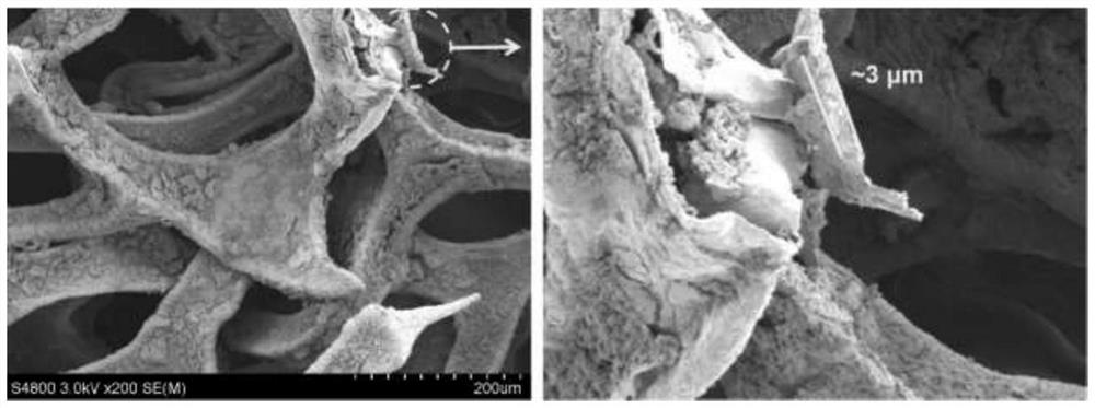 Nickel-based catalyst derived from self-supporting layered double hydroxides as well as preparation method and application of nickel-based catalyst